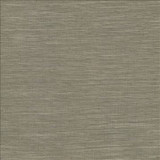 Kasmir Fabric Gainsford Walnut 5060 75% Polyester 25% Viscose INDIA Not Tested H: N/A, V: N/A 54 - My Fabric Connection - Kasmir