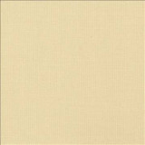 Kasmir Fabric Gauzier Natural 5076 100% Polyamide TURKEY - H: N/A, V: N/A 117 - 118 - My Fabric Connection - Kasmir