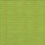 Kasmir Fabric In Flux Snow Pea 1442 100% Cotton INDIA 15,000 Wyzenbeek Double Rubs H: N/A, V: N/A 54 - 55 - My Fabric Connection - Kasmir
