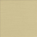 Kasmir Fabric Luxe Dove 1447 88% Rayon 12% Polyester USA 21,000 Wyzenbeek Double Rubs H: N/A, V: N/A 54 - My Fabric Connection - Kasmir
