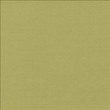 Kasmir Fabric Luxe Pistachio 1447 88% Rayon 12% Polyester USA 21,000 Wyzenbeek Double Rubs H: N/A, V: N/A 54 - My Fabric Connection - Kasmir