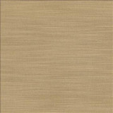 Kasmir Fabric Luxe Sand 1447 88% Rayon 12% Polyester USA 21,000 Wyzenbeek Double Rubs H: N/A, V: N/A 54 - My Fabric Connection - Kasmir