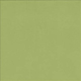 Kasmir Fabric Opus Celery 5058 100% Polyester CHINA 100,000 Wyzenbeek Double Rubs H: N/A, V: N/A 55 - 57 - My Fabric Connection - Kasmir
