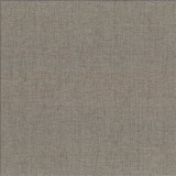 Kasmir Fabric Pinnacle Cement 5046 100% Polyester INDIA 102,000 Wyzenbeek Double Rubs H: N/A, V: N/A 54 - 55 - My Fabric Connection - Kasmir
