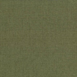 Kasmir Fabric Pinnacle Chive 5046 INDIA 102,000 Wyzenbeek Double Rubs H: N/A, V:N/A 54 - 55 - My Fabric Connection - Kasmir