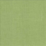 Kasmir Fabric Pinnacle Grass 5046 100% Polyester INDIA 102,000 Wyzenbeek Double Rubs H: N/A, V: N/A 54 - 55 - My Fabric Connection - Kasmir