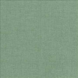 Kasmir Fabric Pinnacle Mint 5046 100% Polyester INDIA 102,000 Wyzenbeek Double Rubs H: N/A, V: N/A 54 - 55 - My Fabric Connection - Kasmir