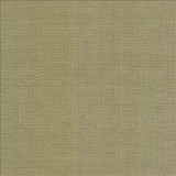 Kasmir Fabric Regis Chartreuse 5099 100% Polyester CHINA 125,000 Wyzenbeek Double Rubs H: N/A, V: N/A 55 - My Fabric Connection - Kasmir