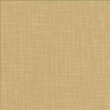 Kasmir Fabric San Carlos Flax 5050 100% Polyester INDIA 25,000 Wyzenbeek Double Rubs H: N/A, V: N/A 54 - 55 - My Fabric Connection - Kasmir