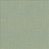 Kasmir Fabric San Carlos Rain 5050 100% Polyester INDIA 25,000 Wyzenbeek Double Rubs H: N/A, V: N/A 54 - 55 - My Fabric Connection - Kasmir