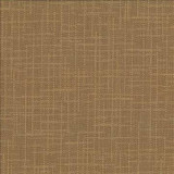 Kasmir Fabric San Carlos Terrain 5050 100% Polyester INDIA 25,000 Wyzenbeek Double Rubs H: N/A, V: N/A 54 - 55 - My Fabric Connection - Kasmir