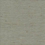 Kasmir Fabric Santorini Silver Sage 5013 100% Polyester INDIA 30,000 Wyzenbeek Double Rubs H: N/A, V: N/A 54 - 55 - My Fabric Connection - Kasmir