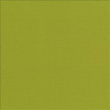 Kasmir Fabric Seductive Kiwi 5052 100% Polyester INDIA 6,000 Wyzenbeek Double Rubs H: N/A, V: N/A 53 - My Fabric Connection - Kasmir