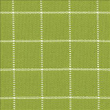 Kasmir Fabric Skylar Check Island Green 5074 100% Cotton INDIA 9,000 Wyzenbeek Double Rubs H: 2 2/8 inches, V: 2 2/8 inches 54 - My Fabric Connection - Kasmir