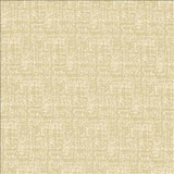 Kasmir Fabric Spackle Sand Dollar 5110 100% Polyester INDIA 20,000 Wyzenbeek Double Rubs H: N/A, V: N/A 54 - 55 - My Fabric Connection - Kasmir