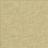 Kasmir Fabric Tao Texture Tea Stain 5061 100% Polyester INDIA Not Tested H: N/A, V: N/A 54 - My Fabric Connection - Kasmir
