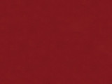 Kravet Couture Fabric 33704.19 Commune Canyon Michael Berman II Cotton 60%, Silk 40% India Light Horizontal: See Sample and Vertical: See Sample 55 inches - My Fabric Connection -