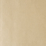 Kravet Contract Fabric RUMORS.116 Rumors Gold Dust in our sample 100% Leather China Heavy Horizontal: See Sample and Vertical: See Sample 54 inches - My Fabric Connection -