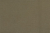 Kravet Contract Fabric 4276.6 Moreno Bronze our website for purchase Polyester 100% Turkey see sample Horizontal: see sample and Vertical: see sample 118 inches - My Fabric Connection -