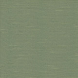 Kasmir Fabric Boxwood Eucalyptus 5149 55% Cotton
45% Polyester
 TAIWAN 30,000 Wyzenbeek Double Rubs Horizontal: N/A and Vertical: N/A 54 - My Fabric Connection -