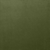 Kasmir Fabric Lyndhurst Fern 5158 100% Polyester
 CHINA 100,000 Wyzenbeek Double Rubs Horizontal: N/A and Vertical: N/A 54 - My Fabric Connection -