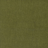 Kasmir Fabric Tundra Dill 5161 100% Polyester
 CHINA 51,000 Wyzenbeek Double Rubs Horizontal: N/A and Vertical: N/A 55 - My Fabric Connection -