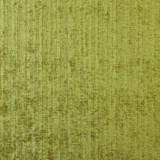 JF Fabric Troop 75J7081 Winning Weaves V Book 100% Polyester India 110000 Horizontal: and Vertical: 55 - My Fabric Connection -