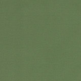 Clarke And Clarke Fabric Alora Palm CLARKE & CLARKE ALORA COTTON - 100% Spain HEAVY Horizontal: 0 and Vertical: 0 54 - My Fabric Connection -