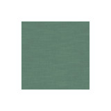 Clarke And Clarke Fabric Amalfi Jade CLARKE & CLARKE AMALFI COTTON - 77%;POLYESTER - 23% India HEAVY Horizontal: 0 and Vertical: 0 54 - My Fabric Connection -