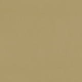 Clarke And Clarke Fabric Renzo Ochre CLARKE & CLARKE RENZO POLYESTER - 100% China HEAVY Horizontal: 0 and Vertical: 0 55 - My Fabric Connection -