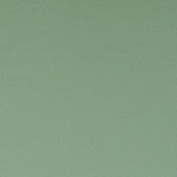 Clarke And Clarke Fabric Spectrum Thyme CLARKE & CLARKE SPECTRUM POLYESTER - 54%;COTTON - 46% India HEAVY Horizontal: - and Vertical: - 54 - My Fabric Connection -