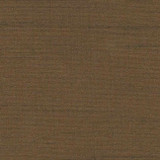 Carole Fabric Succulent Milk Chocolate Succulent 100% POLYESTER INDIA N/A Horizontal: 0" and Vertical: 0" 54" - My Fabric Connection -