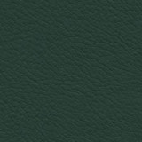 Nassimi Fabric Verve Evergreen EVE-013 See sample 100% Polyurethane USA or Imported Water-based cleaning agents and foam may be used for cleaning. Cleaning by a professional cleaning service is recommended. </p><p>Repeat: Horizontal: and Vertical: 54" - My Fabric Connection -