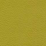 Nassimi Fabric Verve Guacamole EVE-015 See sample 100% Polyurethane USA or Imported Water-based cleaning agents and foam may be used for cleaning. Cleaning by a professional cleaning service is recommended. </p><p>Repeat: Horizontal: and Vertical: 54" - My Fabric Connection -