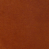 Nassimi Fabric Clarke Tigereye See sample 100% Polyurethane 250000 Horizontal: Not Applicable and Vertical: Not Applicable 54" - My Fabric Connection -