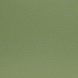 Nassimi Fabric Aura Grass EAU-017 See sample 100% Polyurethane USA or Imported Water-based cleaning agents and foam may be used for cleaning. Cleaning by a professional cleaning service is recommended. </p><p>Repeat: Horizontal: and Vertical: 54" - My Fabric Connection -