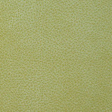 Nassimi Fabric Clarke Peridot See sample 100% Polyurethane 250000 Horizontal: Not Applicable and Vertical: Not Applicable 54" - My Fabric Connection -