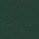 CGPC Fabric Liberty Forest Green 1008485 See sample 100% Vinyl USA or Imported Water-based cleaning agents and foam may be used for cleaning. Cleaning by a professional cleaning service is recommended. </p><p>Repeat: Horizontal: and Vertical: 54" - My Fabric Connection -