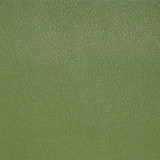 Nassimi Fabric Esprit Olive Green ESP 114 See sample 100% Vinyl USA or Imported Water-based cleaning agents and foam may be used for cleaning. Cleaning by a professional cleaning service is recommended. </p><p>Repeat: Horizontal: and Vertical: 54" - My Fabric Connection -