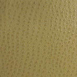 Nassimi Fabric Phoenix Willow TPH-013 See sample 100% Vinyl USA or Imported Water-based cleaning agents and foam may be used for cleaning. Cleaning by a professional cleaning service is recommended. </p><p>Repeat: Horizontal: and Vertical: 54" - My Fabric Connection -