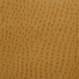 Nassimi Fabric Phoenix Ochre TPH-009 See sample 100% Vinyl USA or Imported Water-based cleaning agents and foam may be used for cleaning. Cleaning by a professional cleaning service is recommended. </p><p>Repeat: Horizontal: and Vertical: 54" - My Fabric Connection - Nassimi Fabric Phoenix Ochre TPH-009 See sample 100% Vinyl USA or Imported Water-based cleaning agents and foam may be used for cleaning. Cleaning by a professional cleaning service is recommended. </p><p>Repeat: Horizontal: and Vertical: 54" - My Fabric Connection -