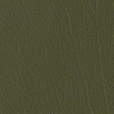 Omnova Fabric Colorguard Everglade B475209 See sample 100% Vinyl USA or Imported Water-based cleaning agents and foam may be used for cleaning. Cleaning by a professional cleaning service is recommended. </p><p>Repeat: Horizontal: and Vertical: 54" - My Fabric Connection -