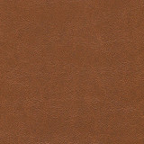 CGPC Fabric Alchemy Lucky Penny ALC-515 See sample 100% Vinyl USA or Imported Water-based cleaning agents and foam may be used for cleaning. Cleaning by a professional cleaning service is recommended. </p><p>Repeat: Horizontal: and Vertical: 54" - My Fabric Connection -
