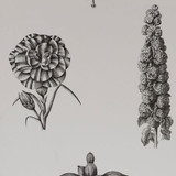 Gaston Y Daniela Wallcovering Guayana Negro - PAPER - 100% Spain - Horizontal: - and Vertical: - 20.8 - My Fabric Connection -