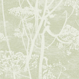 Cole & Son Wallcovering Cow Parsley Olive COLE & SON ICONS PAPER - 100% United Kingdom - Horizontal: - and Vertical: 30 21 - My Fabric Connection -