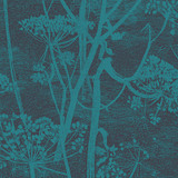 Cole & Son Wallcovering Cow Parsley Teal