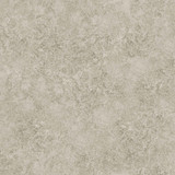 Cole & Son Wallcovering Patina Haze Warm Gilver