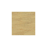 Baker Lifestyle Fabric Satara Camel ECHO HEIRLOOM INDIA POLYESTER - 80%;COTTON - 20% China HEAVY Horizontal: - and Vertical: - 56 - My Fabric Connection -