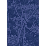 Cole & Son Fabric Cow Parsley Hyacinth & Ink