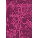 Cole & Son Fabric Cow Parsley Magnta Plm COLE & SON CONTEMPORARY FABRICS COTTON - 66%;VISCOSE - 31%;POLYESTER - 3% Italy HEAVY Horizontal: 17.33 and Vertical: 25.4 52 - My Fabric Connection -